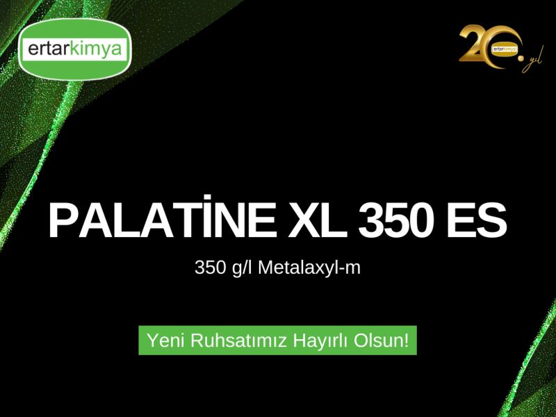 PALATINE XL 350 ES